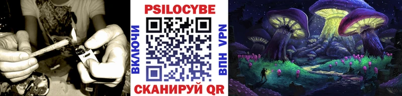 Галлюциногенные грибы Psilocybe OMG ссылка Арзамас