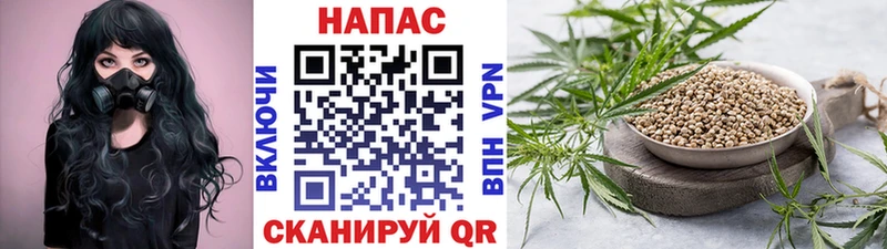 Канабис White Widow  Арзамас 